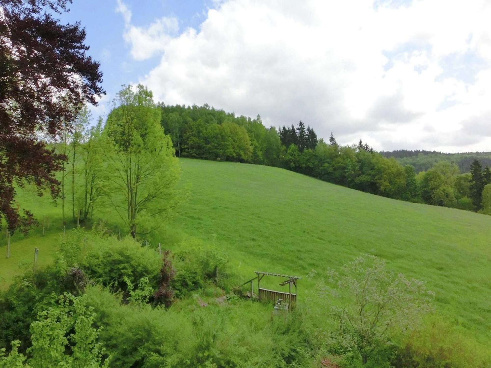 Alluring Villa In Grunhainichen Borstendorf With Garden Leubsdorf エクステリア 写真