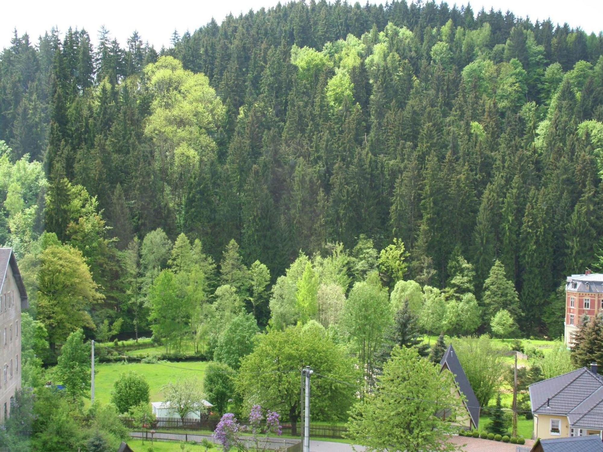 Alluring Villa In Grunhainichen Borstendorf With Garden Leubsdorf エクステリア 写真