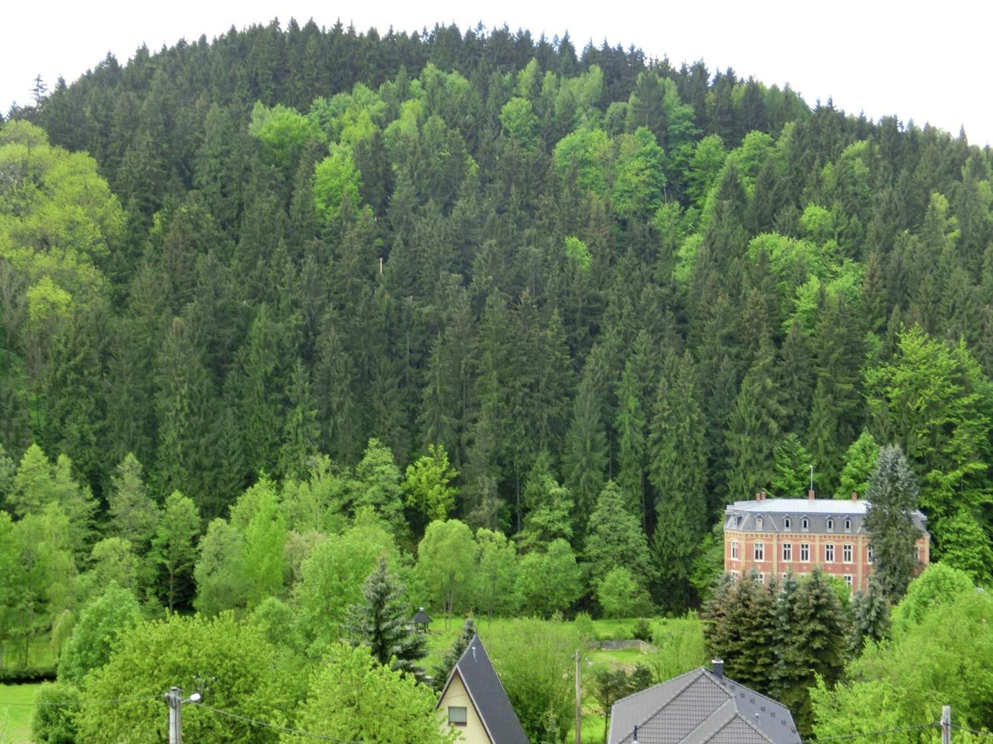 Alluring Villa In Grunhainichen Borstendorf With Garden Leubsdorf エクステリア 写真