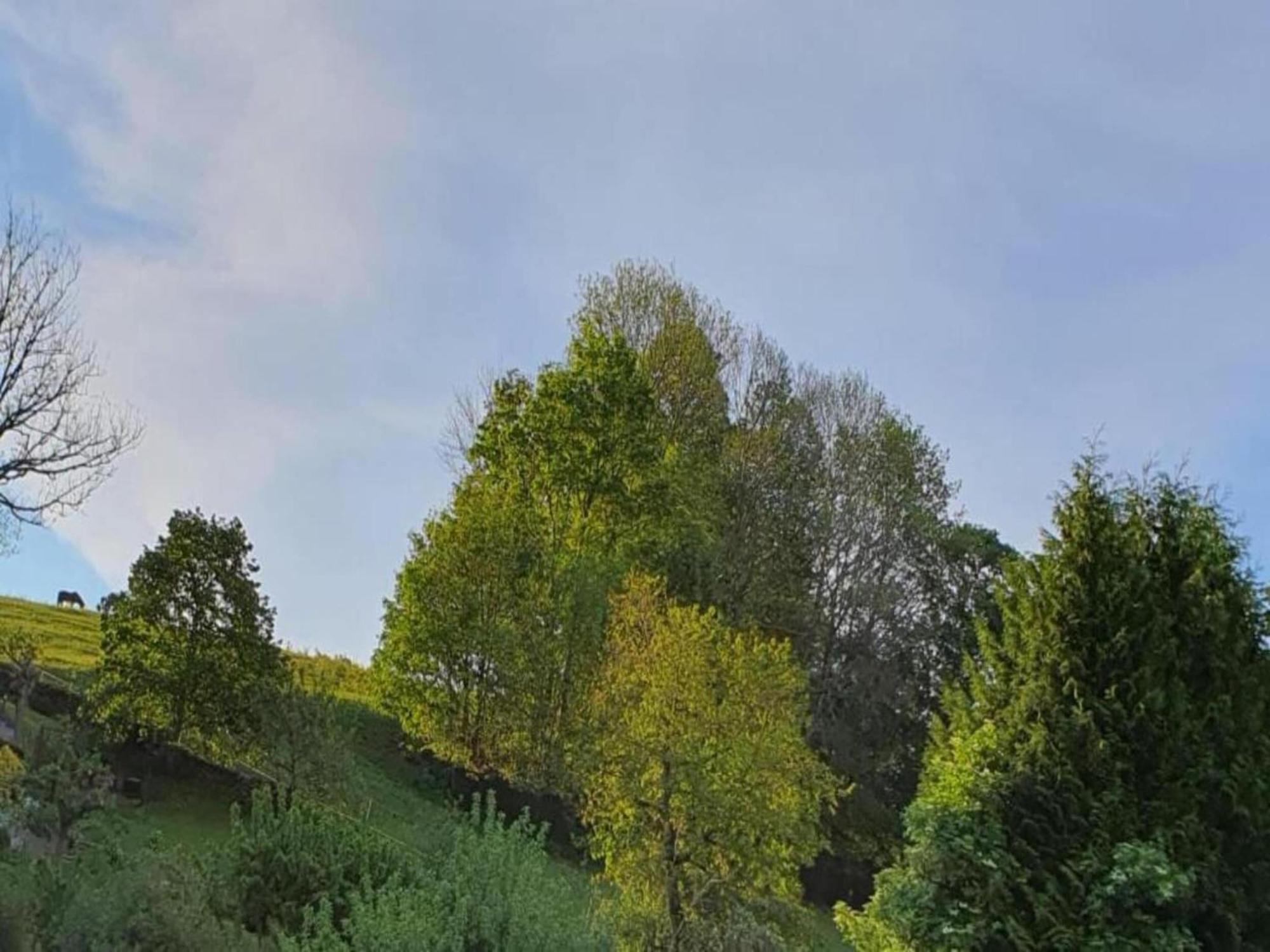 Alluring Villa In Grunhainichen Borstendorf With Garden Leubsdorf エクステリア 写真