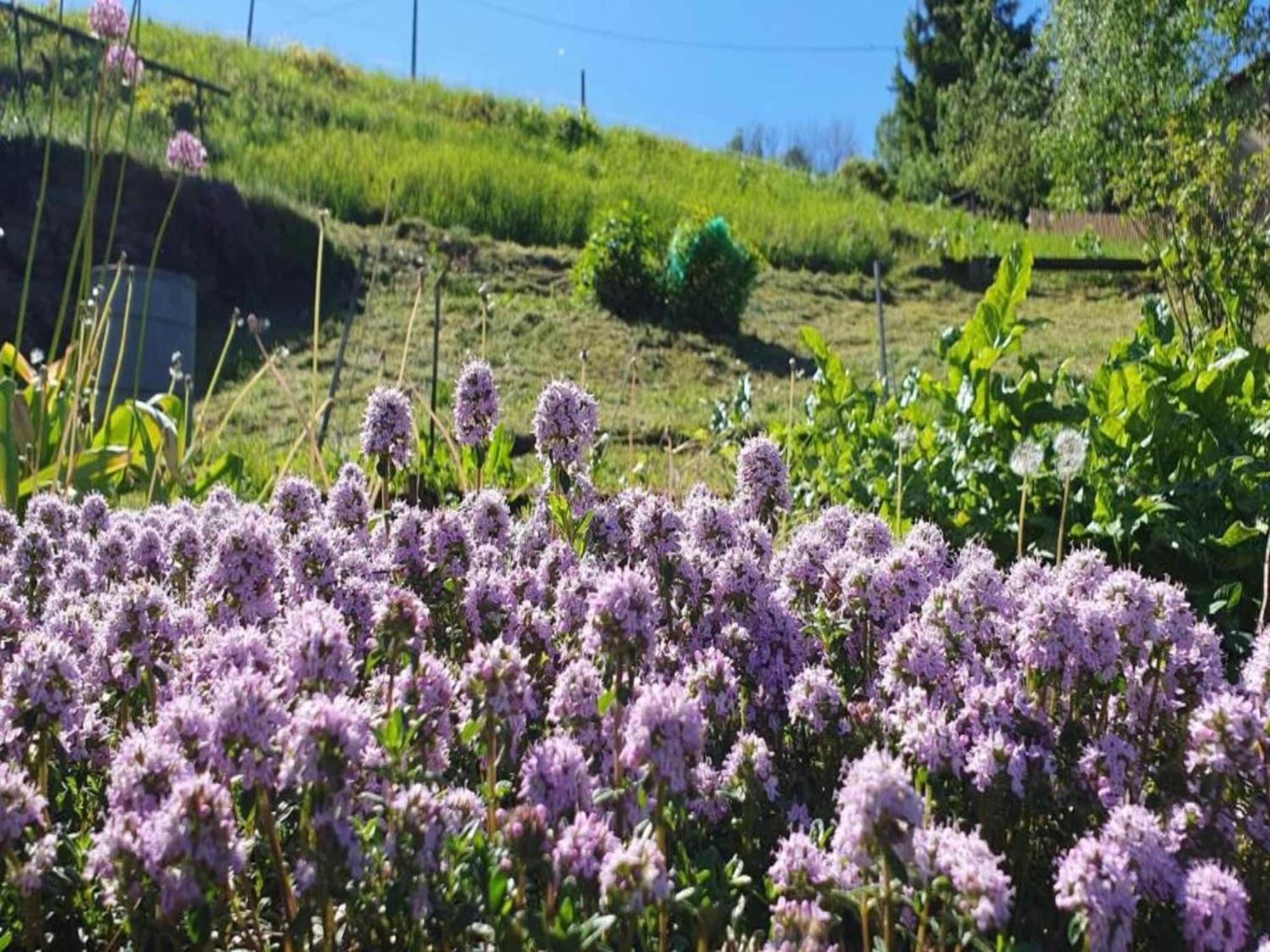 Alluring Villa In Grunhainichen Borstendorf With Garden Leubsdorf エクステリア 写真