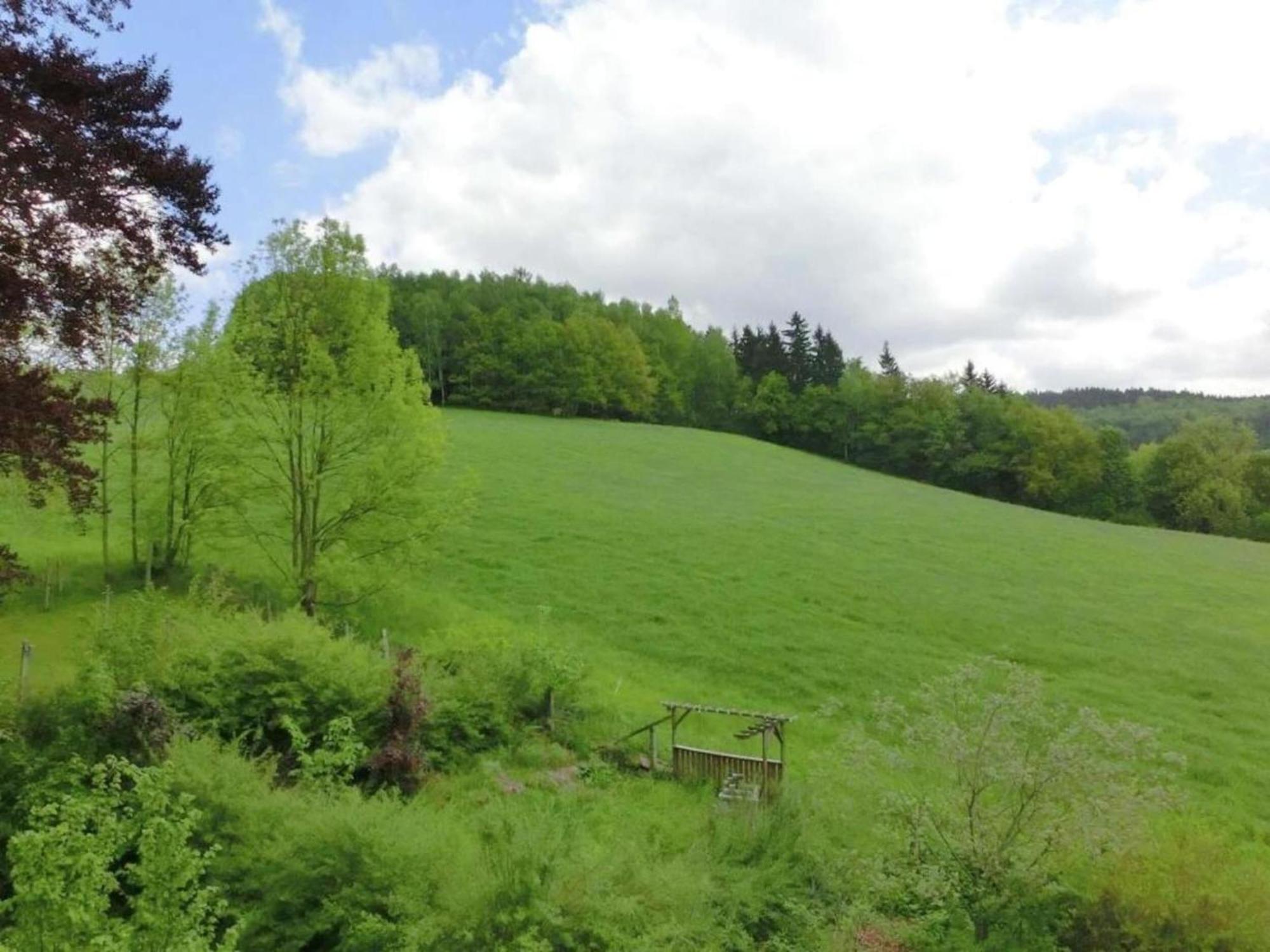 Alluring Villa In Grunhainichen Borstendorf With Garden Leubsdorf エクステリア 写真