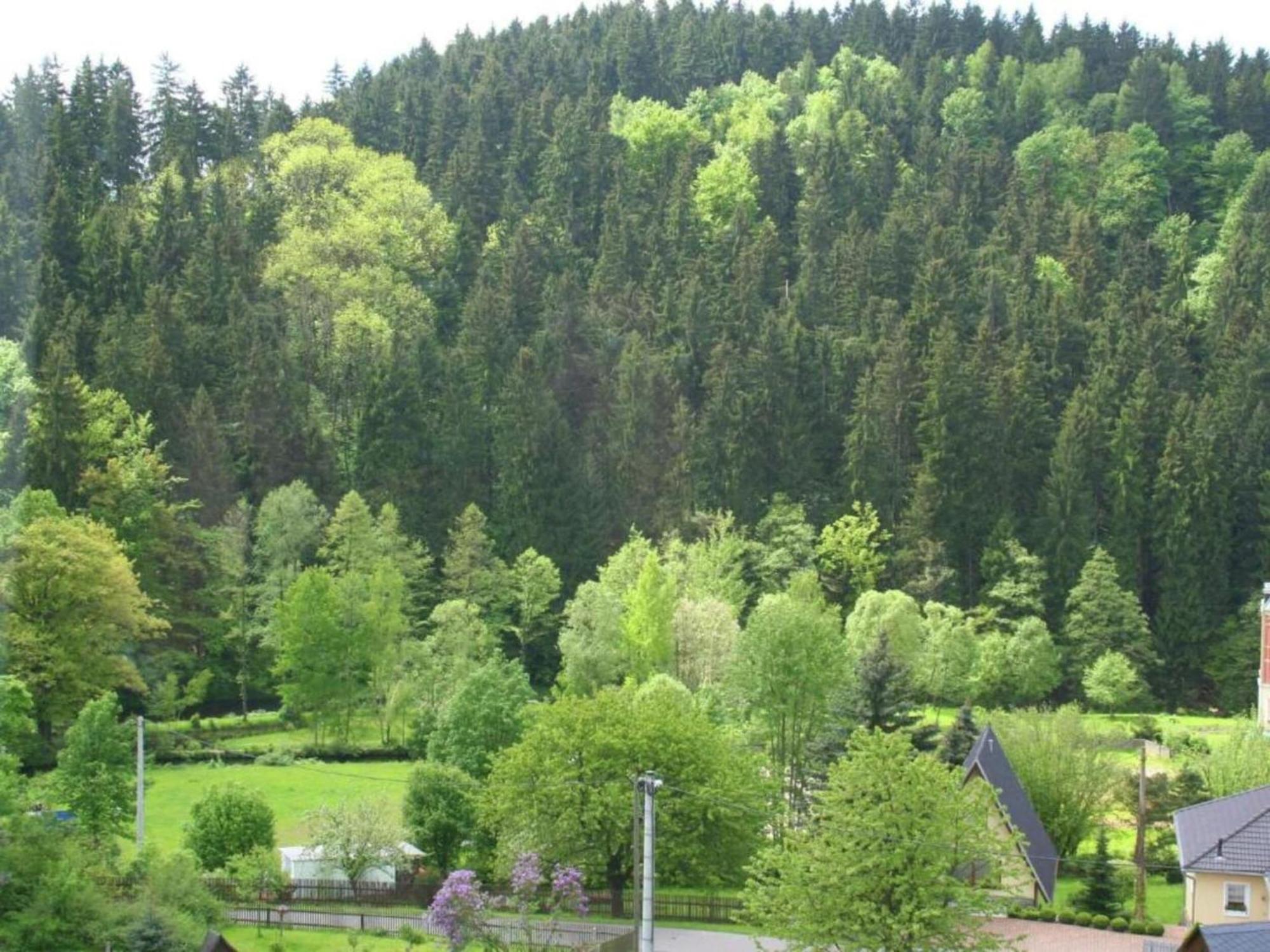 Alluring Villa In Grunhainichen Borstendorf With Garden Leubsdorf エクステリア 写真