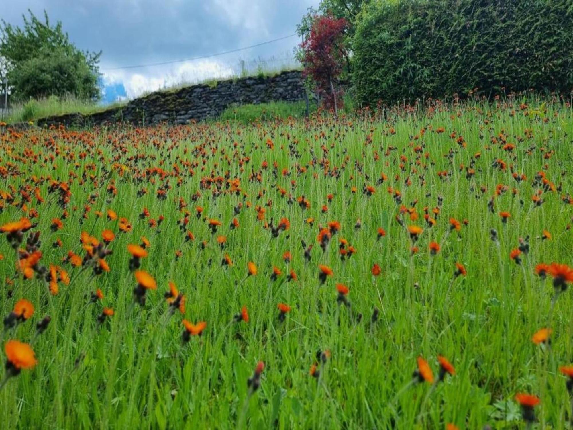 Alluring Villa In Grunhainichen Borstendorf With Garden Leubsdorf エクステリア 写真